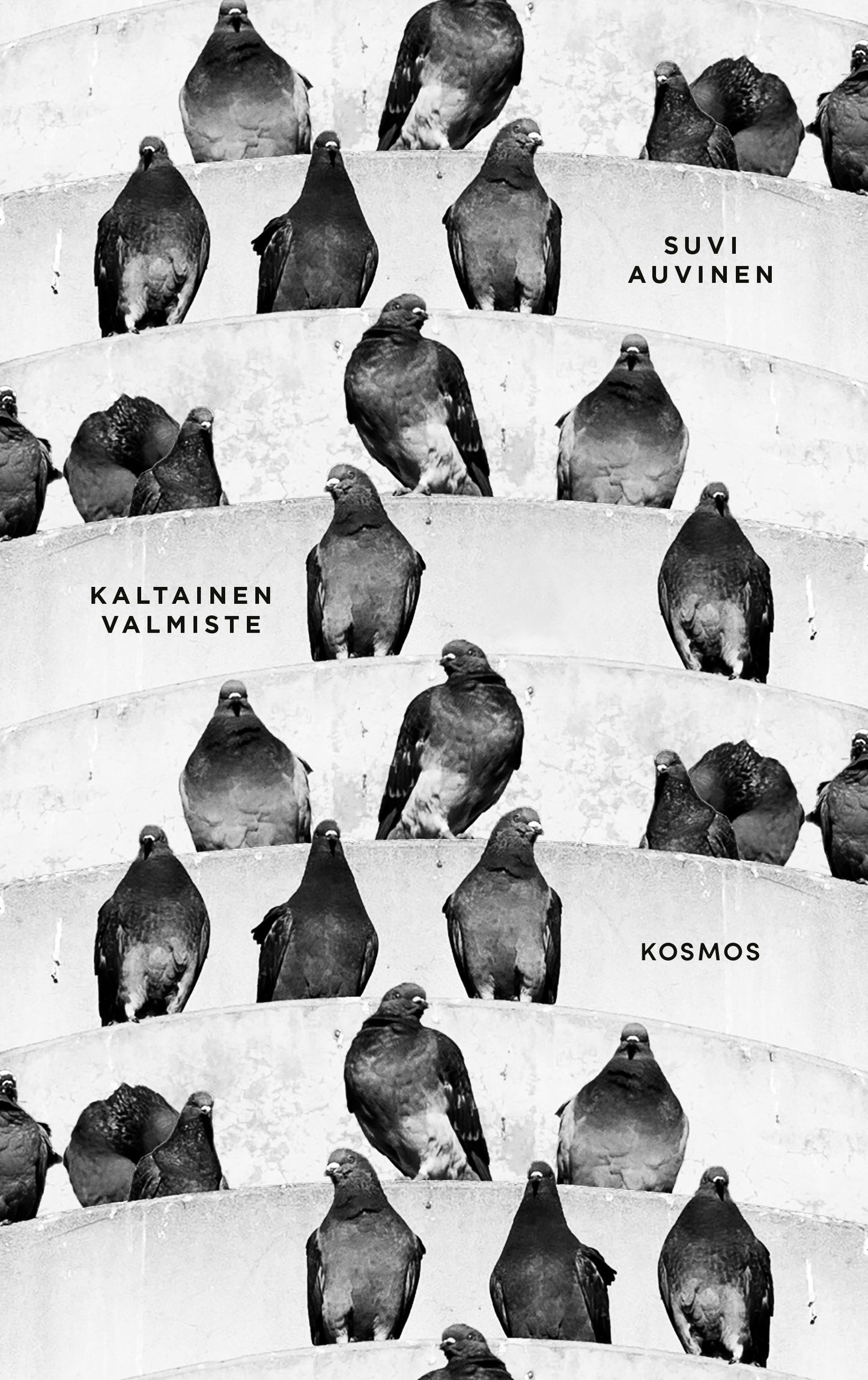 Kaltainen valmiste – E-bok
