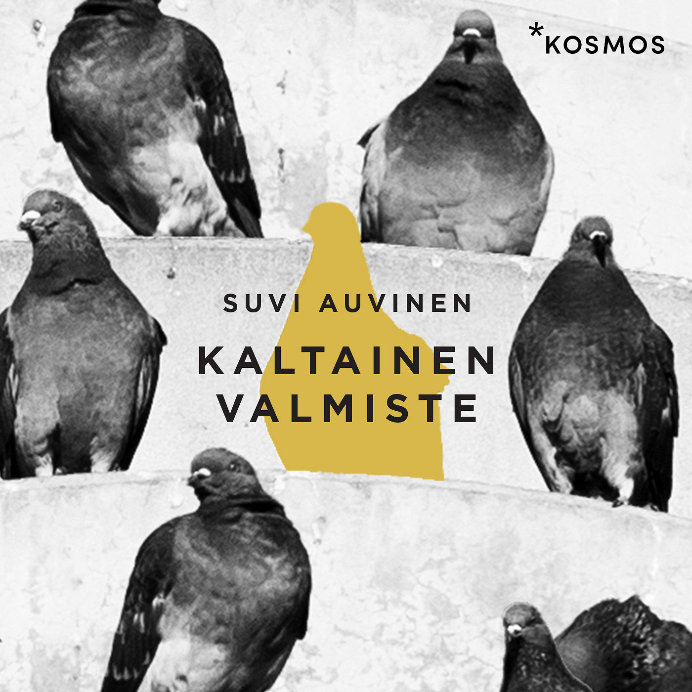 Kaltainen valmiste – Ljudbok