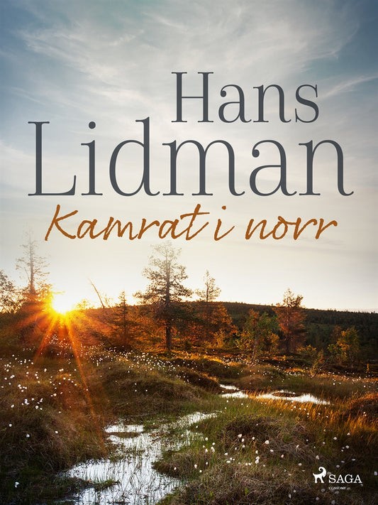 Kamrat i norr – E-bok