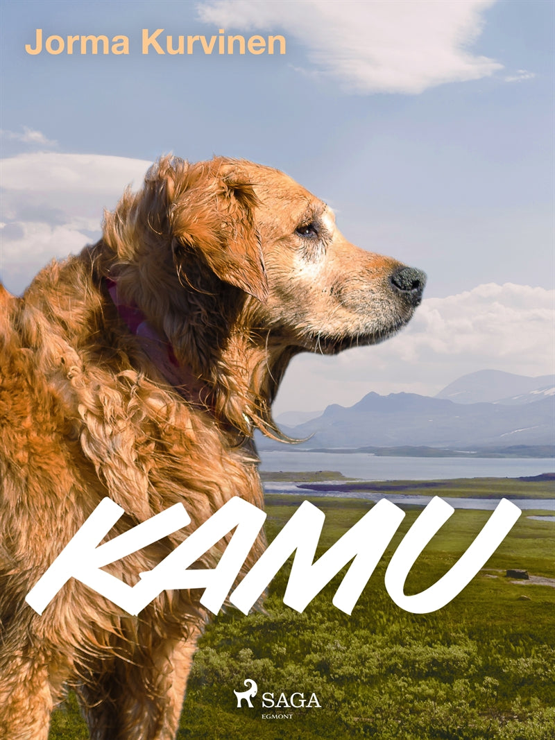 Kamu – E-bok