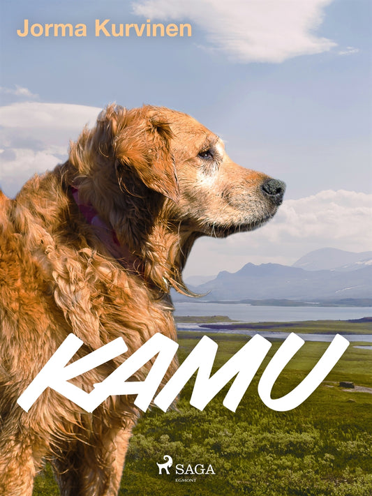 Kamu – E-bok