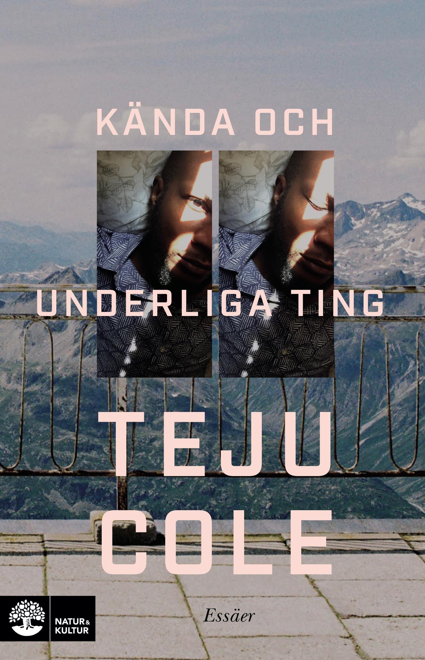 Kända och underliga ting : essäer – E-bok