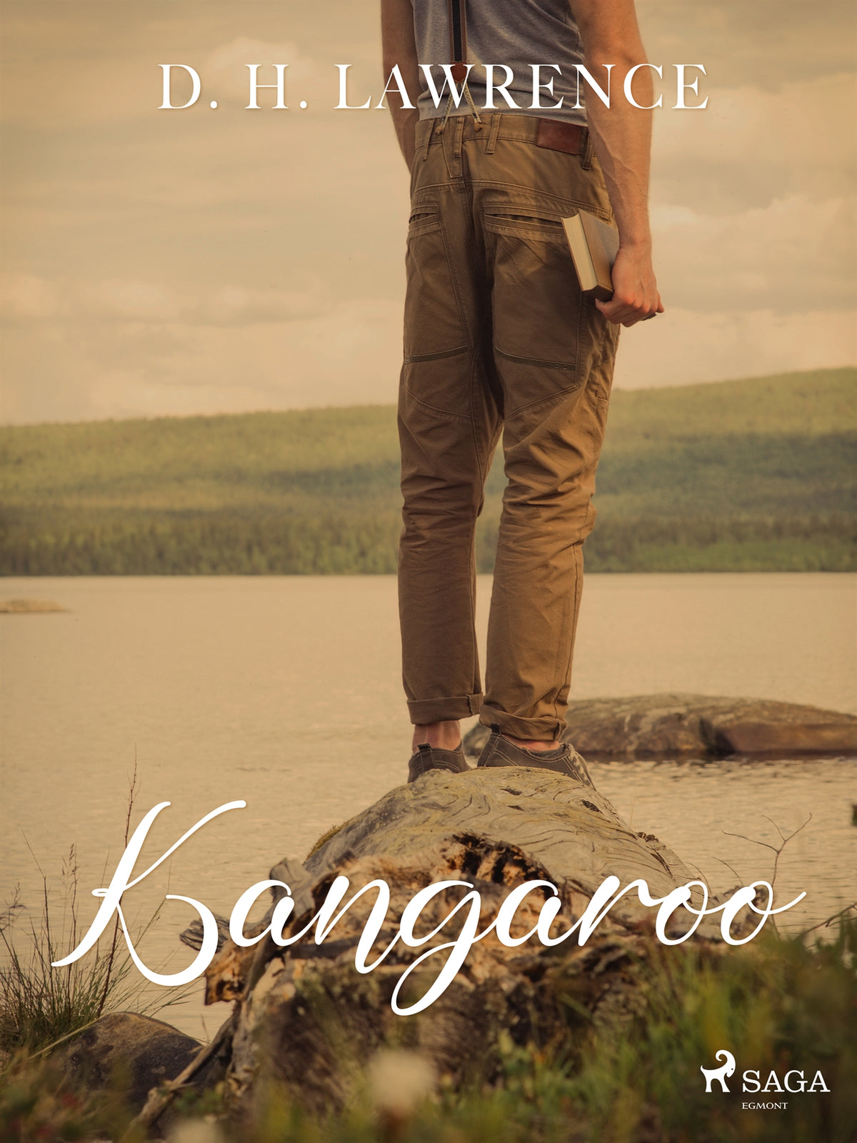 Kangaroo – E-bok