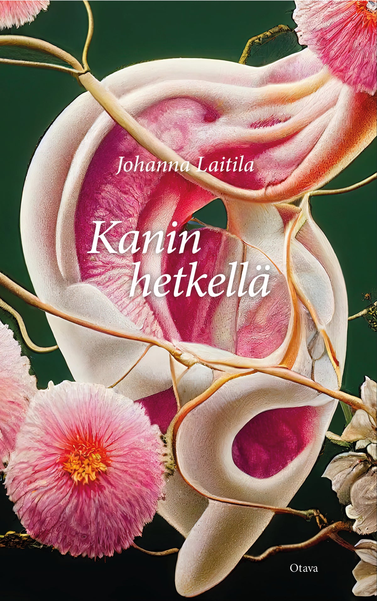 Kanin hetkellä – E-bok