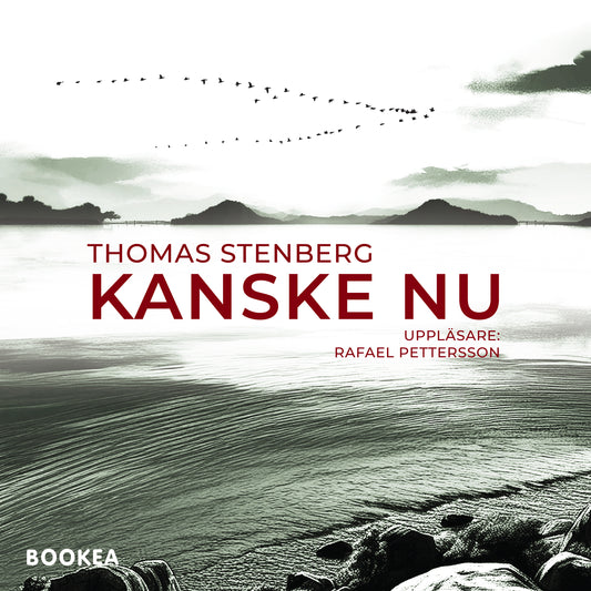 Kanske nu – Ljudbok