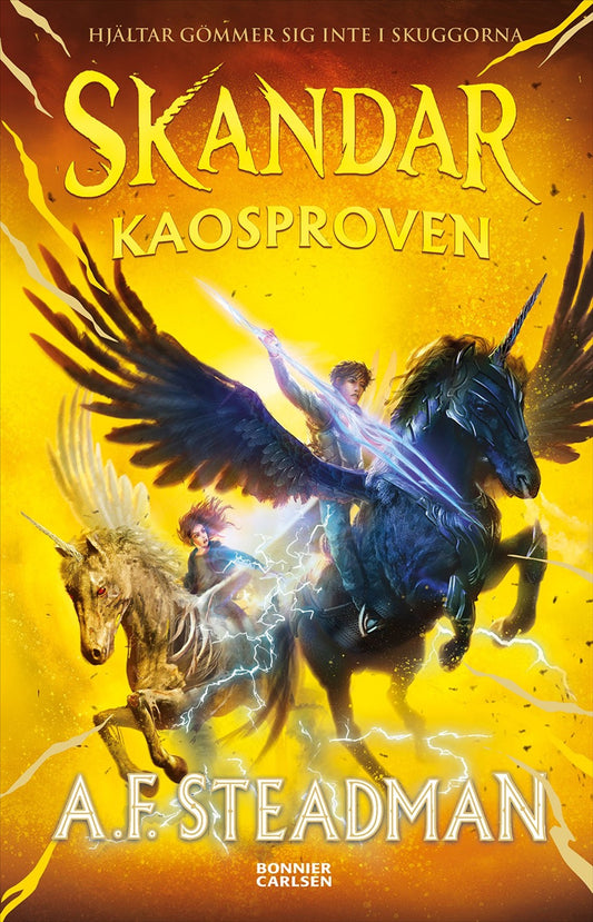 Kaosproven – E-bok