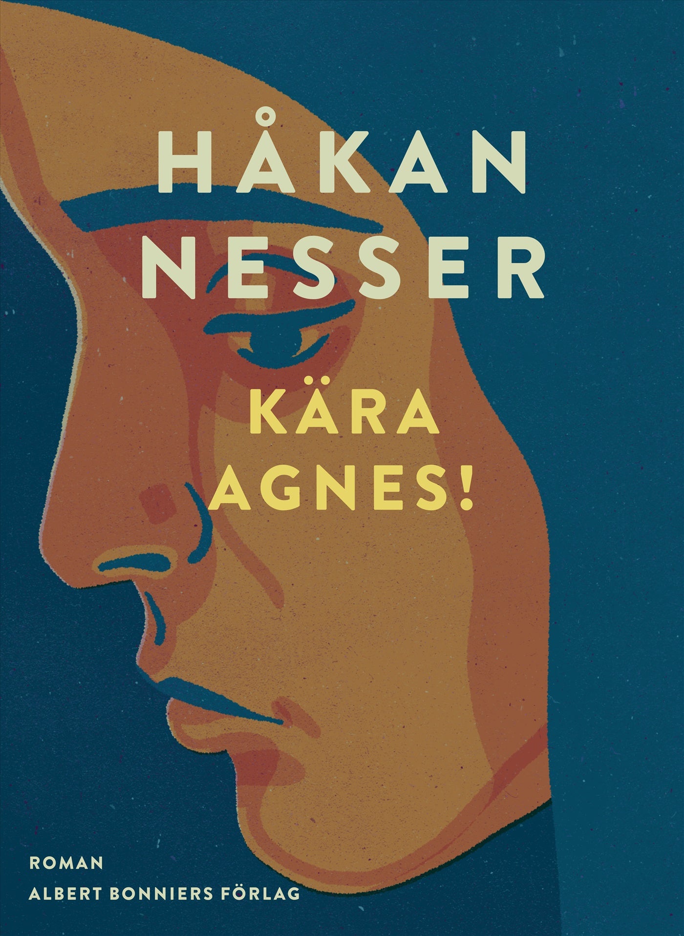 Kära Agnes! – E-bok