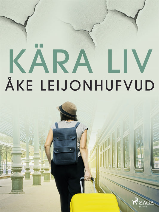 Kära Liv – E-bok