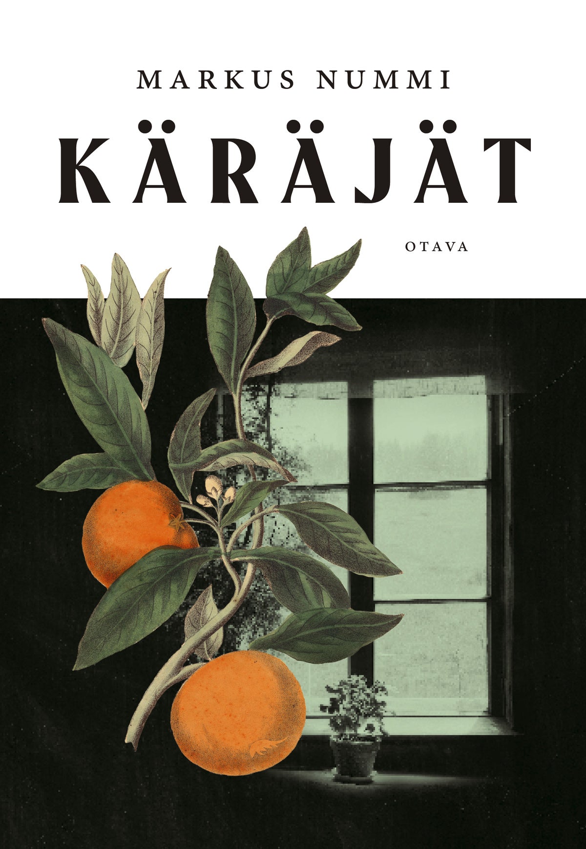 Käräjät – E-bok