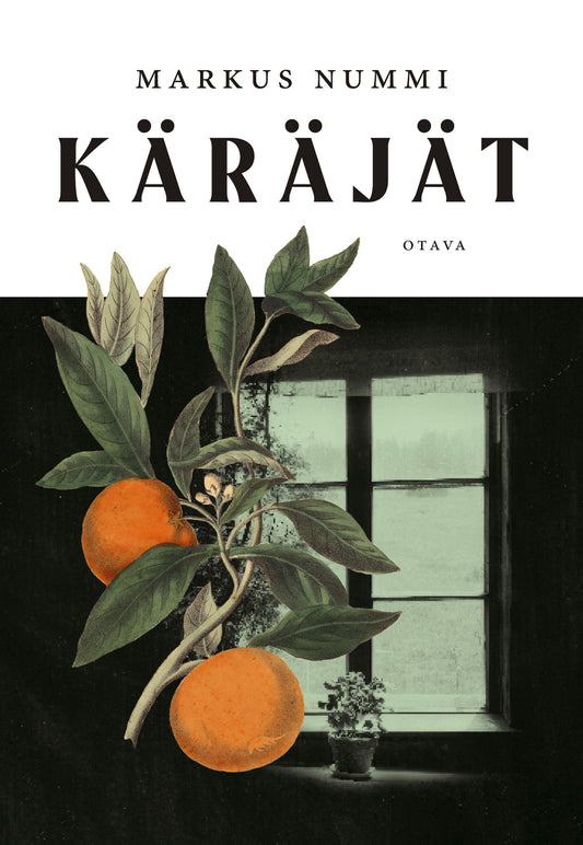 Käräjät – E-bok