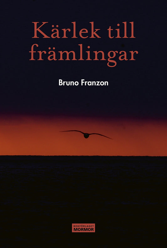 Kärlek till främlingar – E-bok