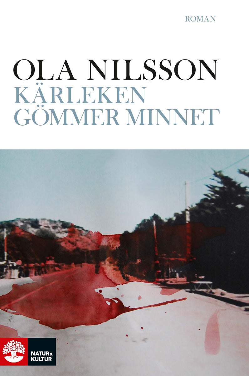 Kärleken gömmer minnet – E-bok