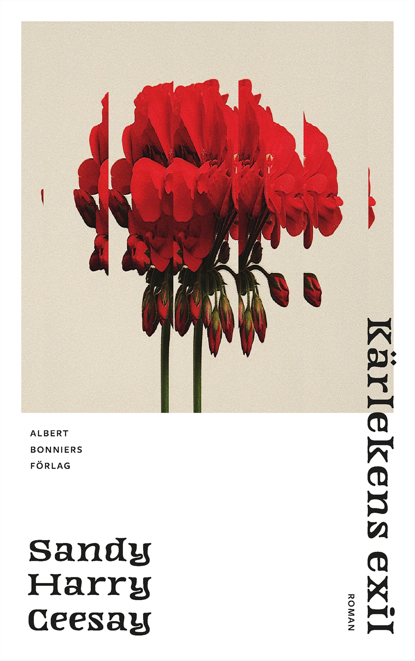 Kärlekens exil – E-bok