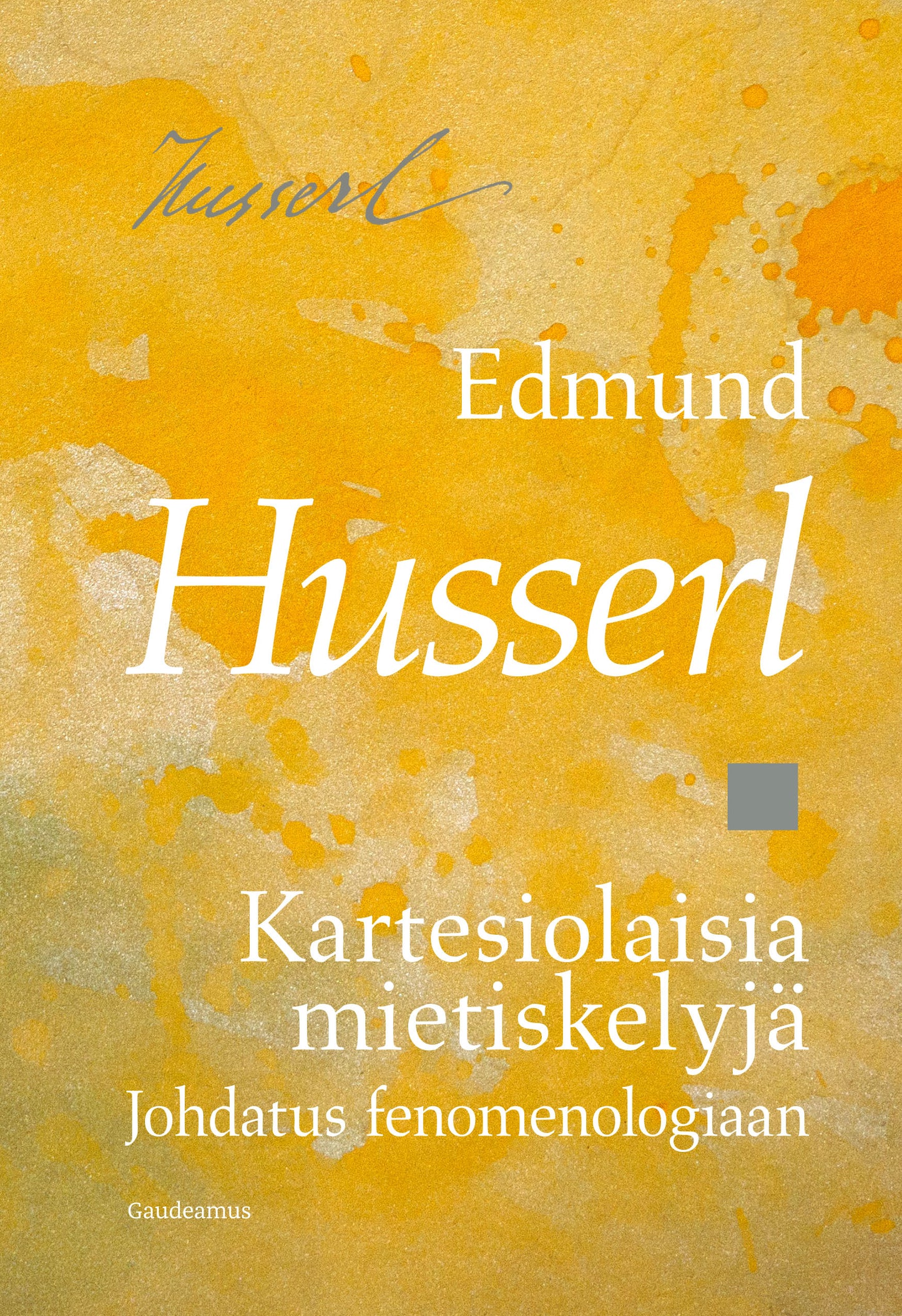 Kartesiolaisia mietiskelyjä – E-bok