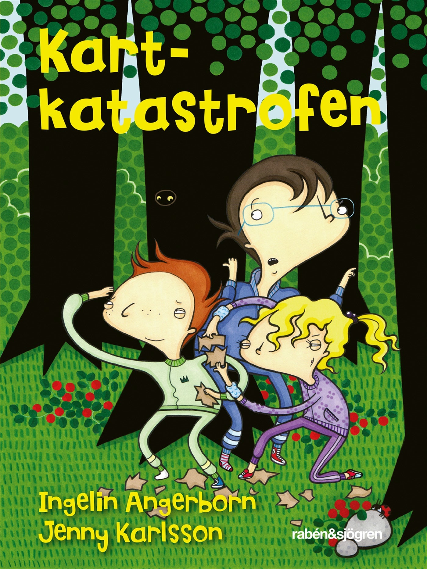 Kartkatastrofen – E-bok