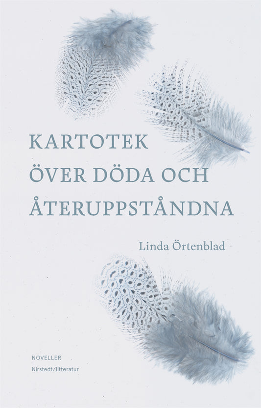 Kartotek över döda och återuppståndna – E-bok