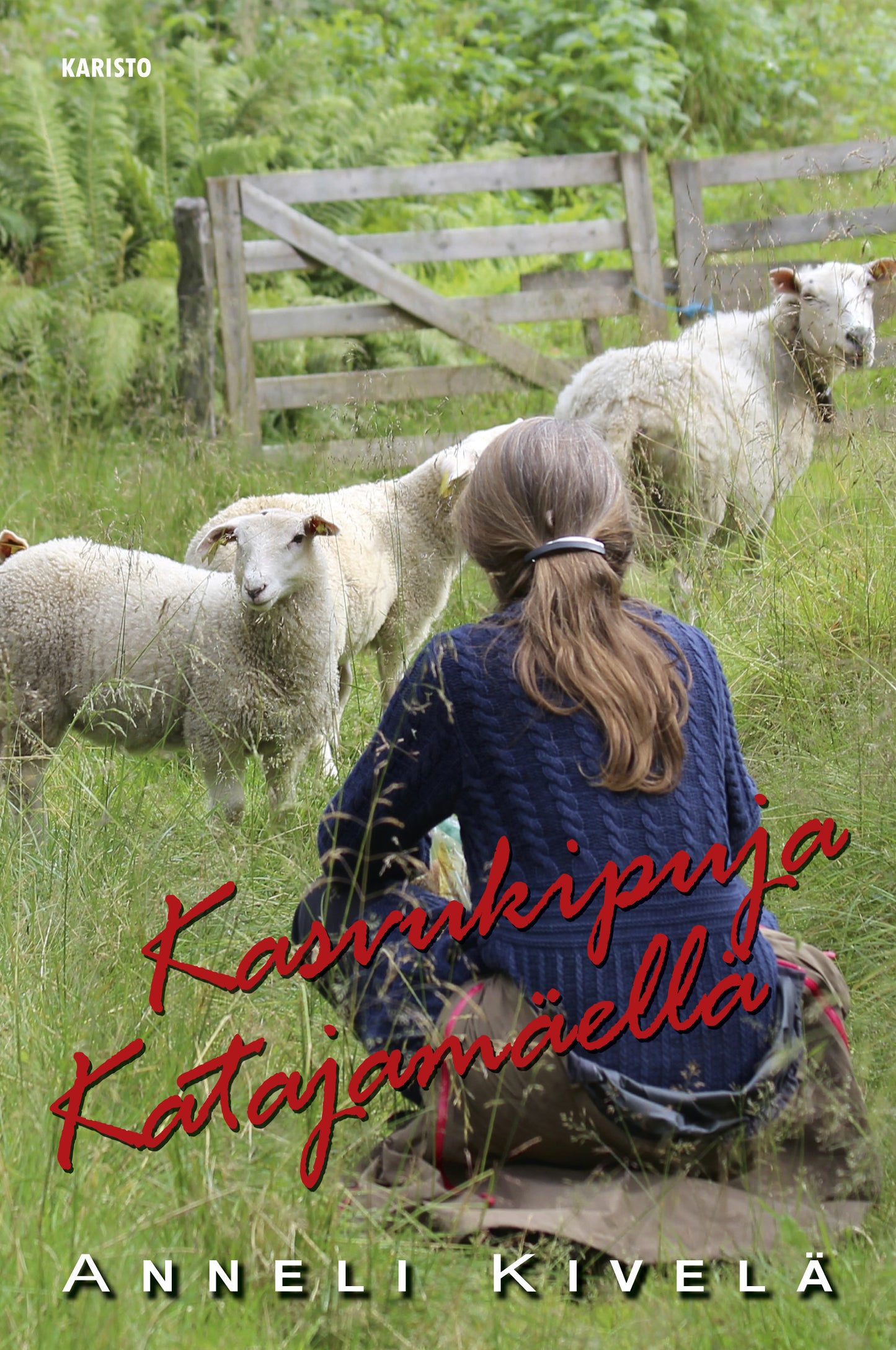 Kasvukipuja Katajamäellä – E-bok