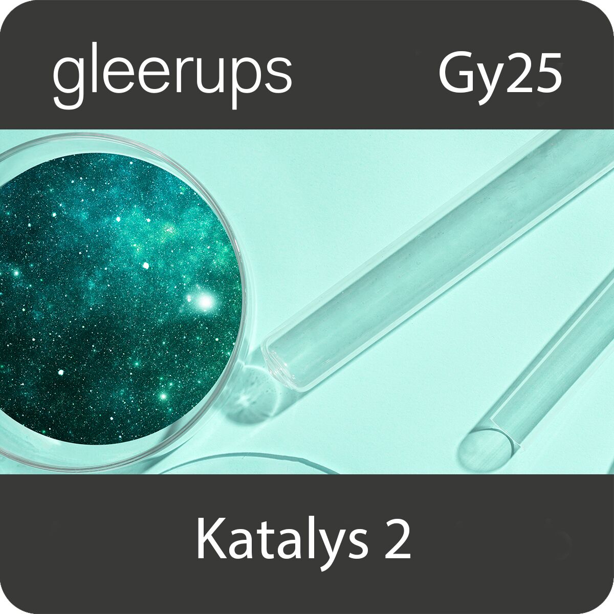 Katalys kemi 2, digitalt läromedel, elev, 6 mån, Gy25