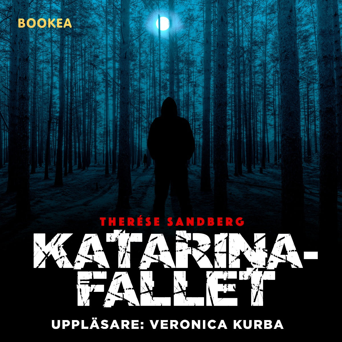 Katarinafallet – Ljudbok