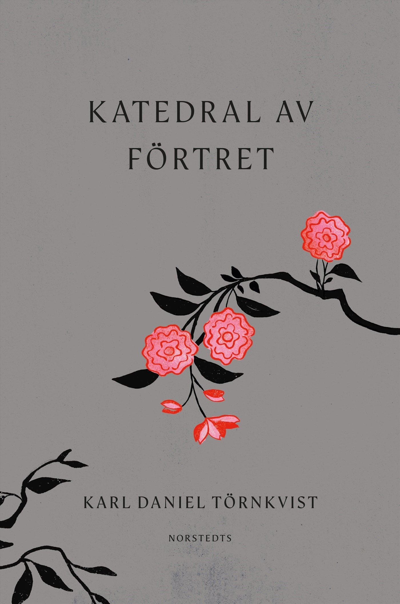 Katedral av förtret – E-bok