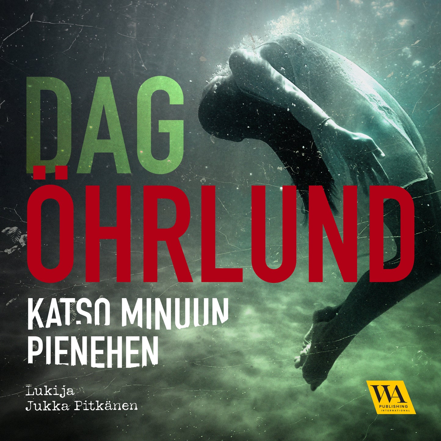 Katso minuun pienehen – Ljudbok
