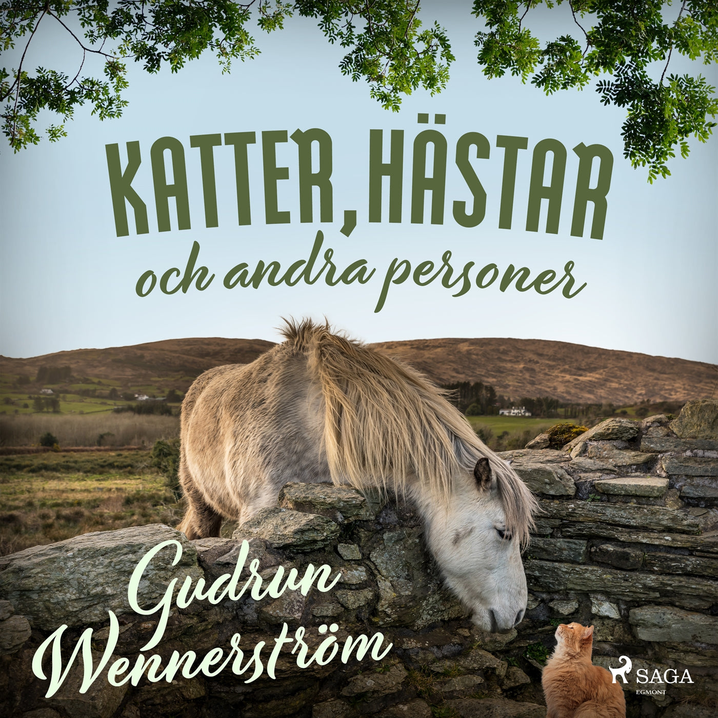 Katter, hästar och andra personer – Ljudbok