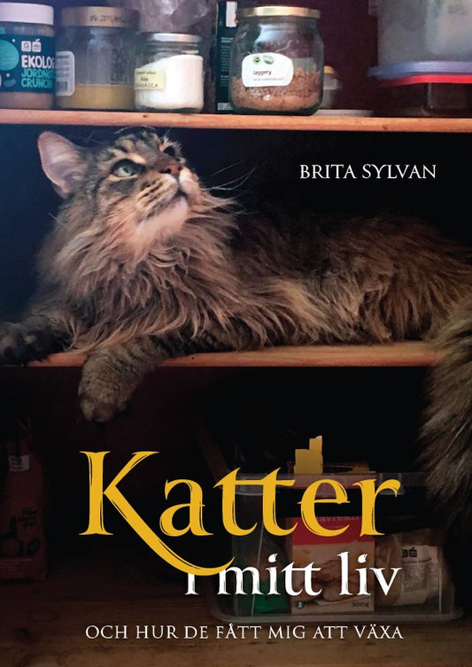 Katter i mitt liv och hur de fått mig att växa – E-bok