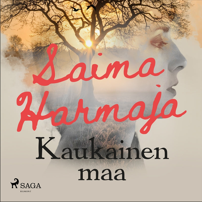 Kaukainen maa – Ljudbok