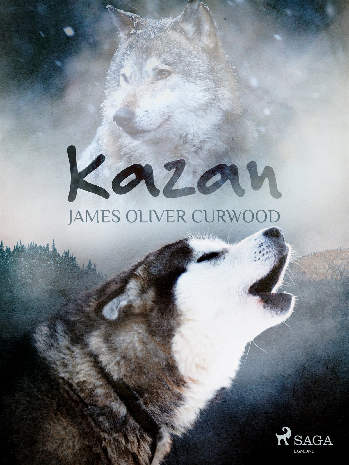 Kazan – E-bok