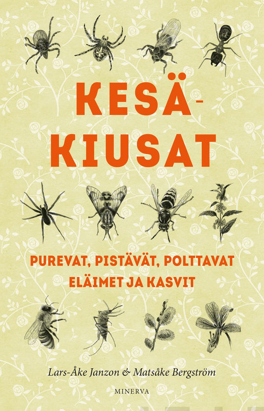Kesäkiusat – E-bok