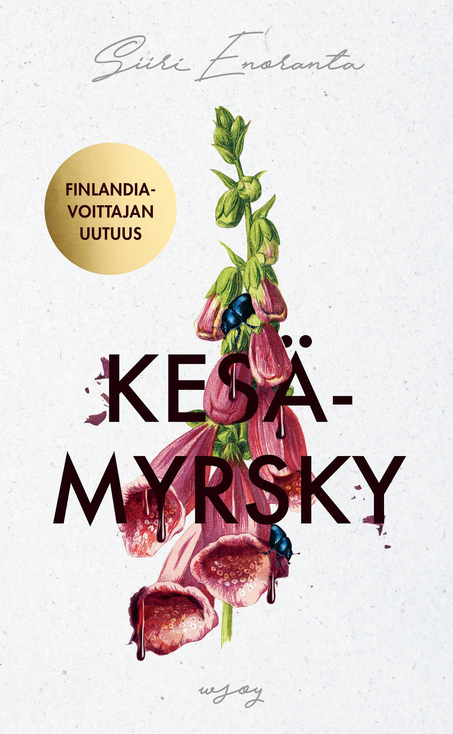 Kesämyrsky – E-bok