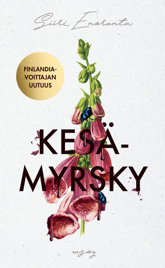 Kesämyrsky – E-bok