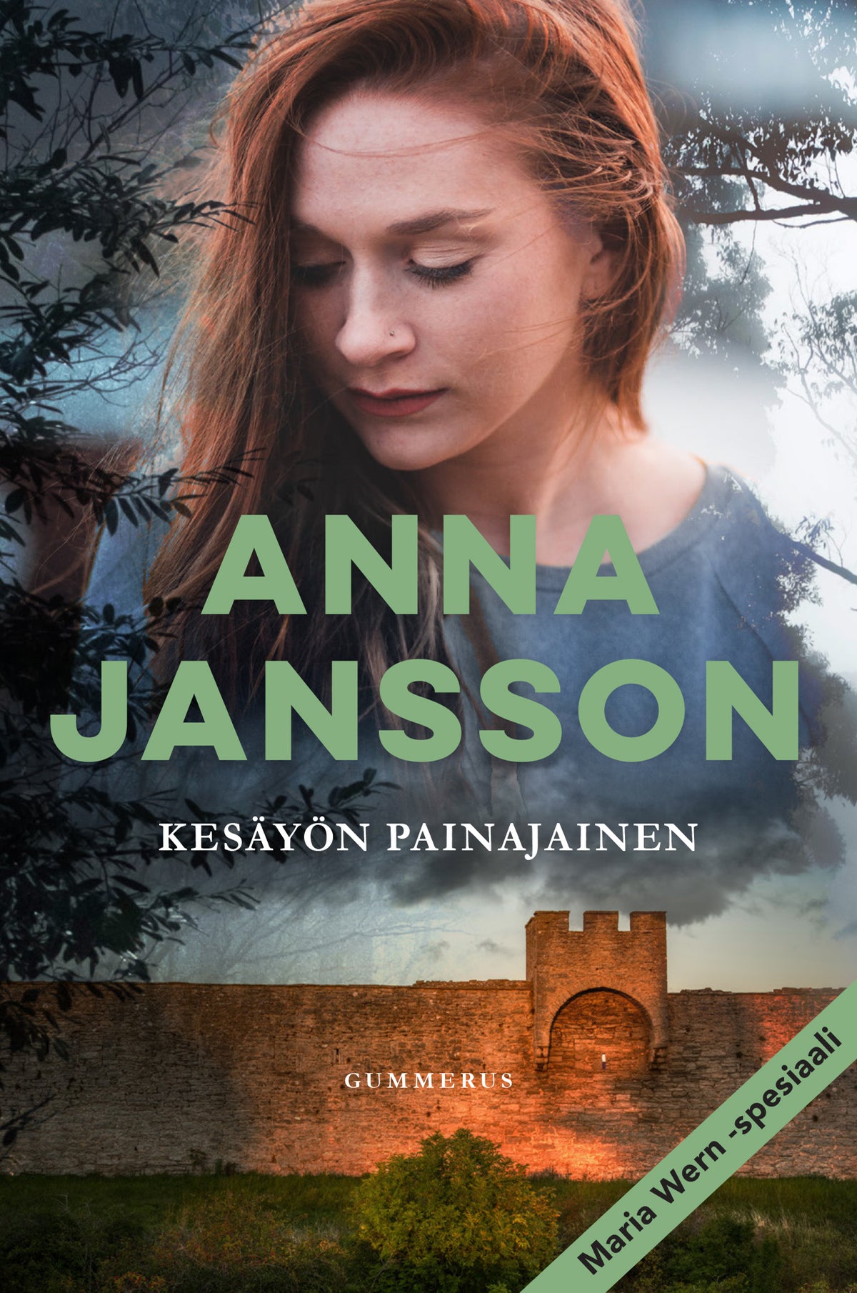 Kesäyön painajainen – E-bok