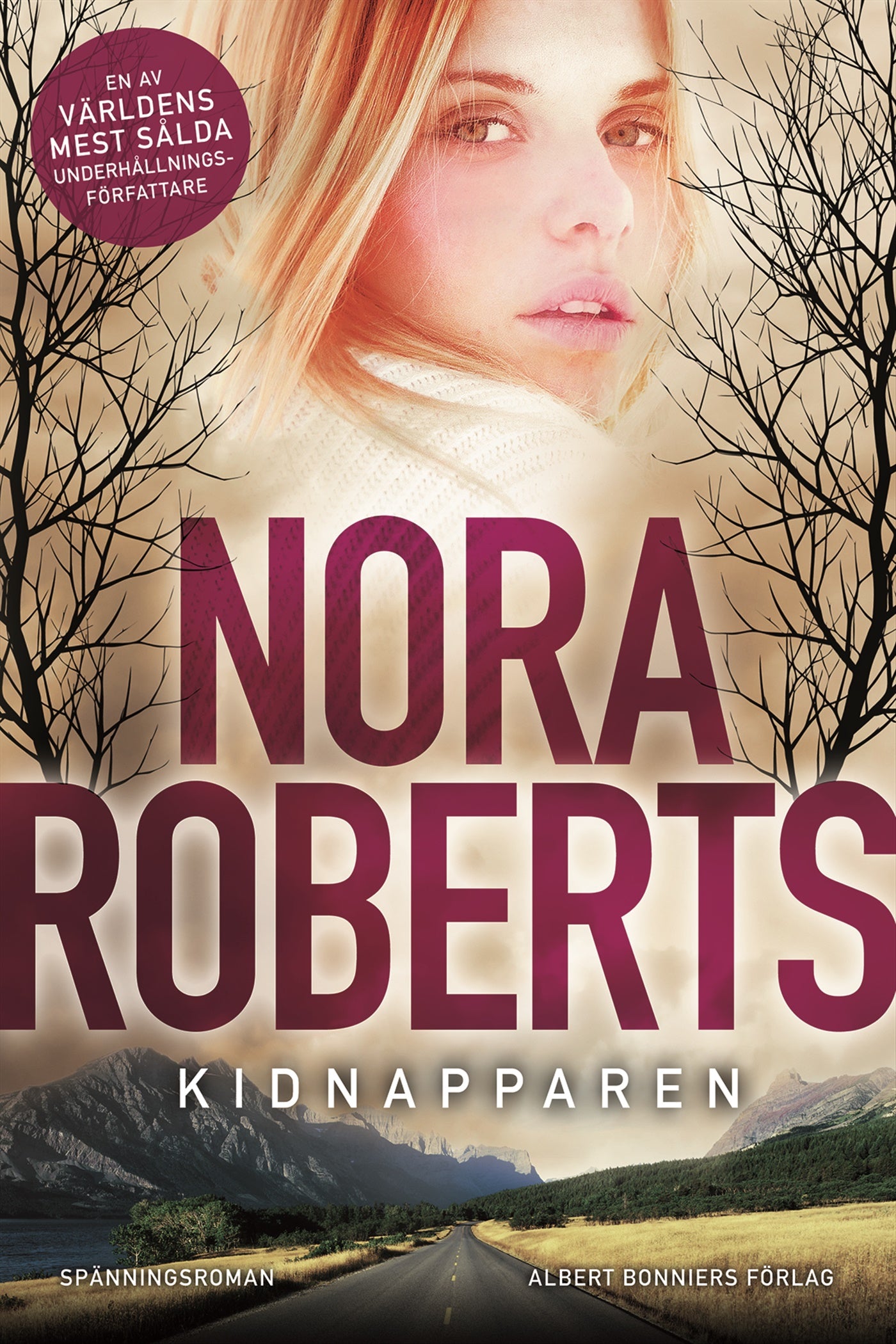 Kidnapparen – E-bok
