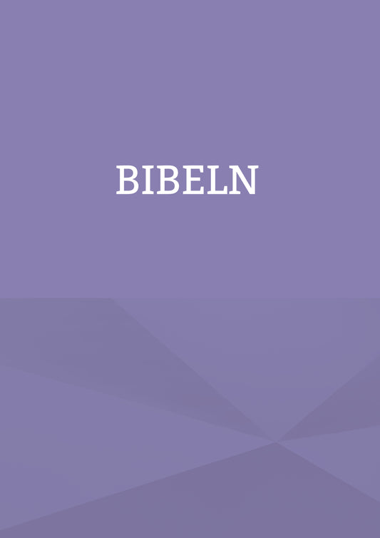 King James bibeln på svenska: Bibeln – E-bok