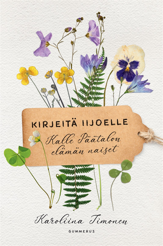 Kirjeitä Iijoelle – E-bok