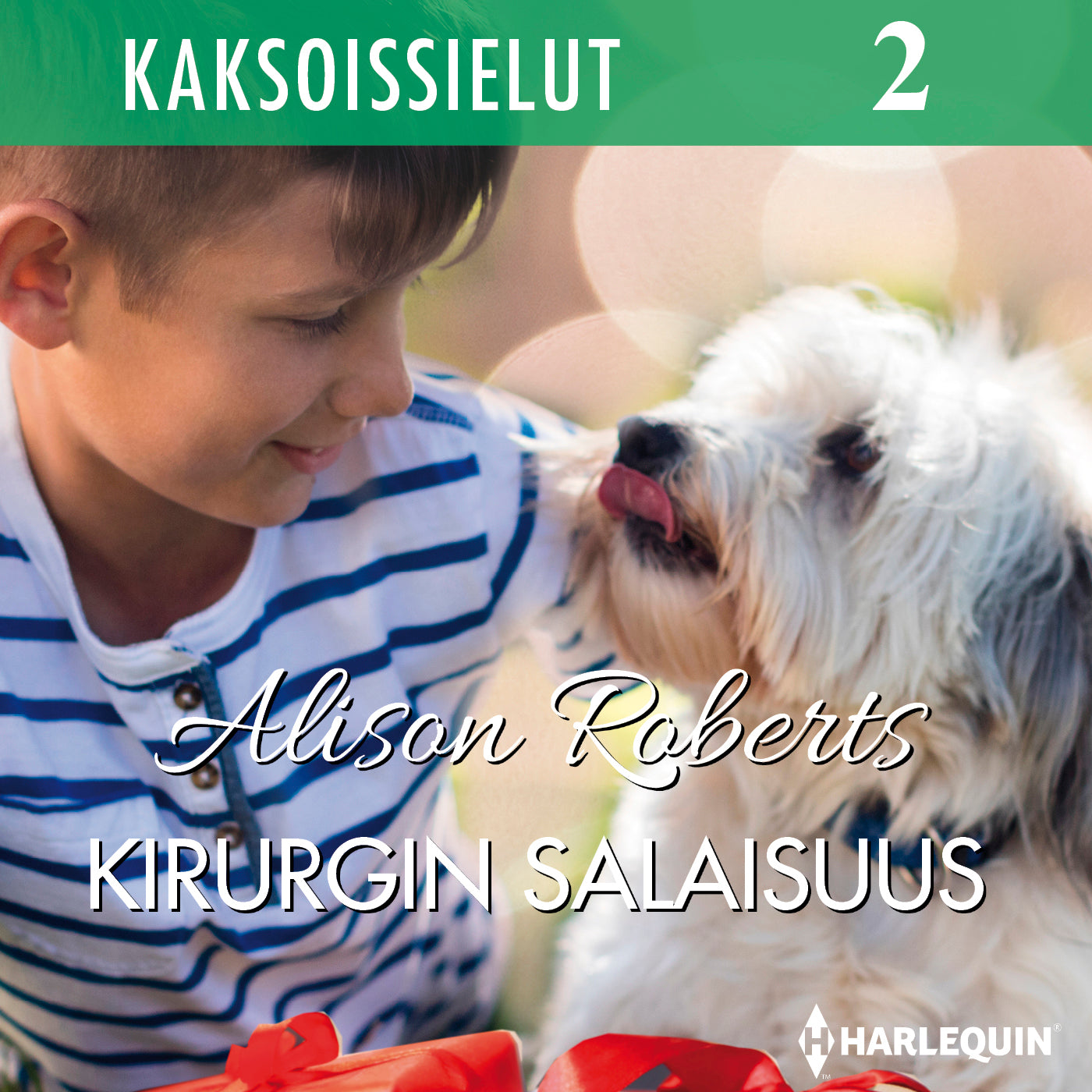 Kirurgin salaisuus – Ljudbok