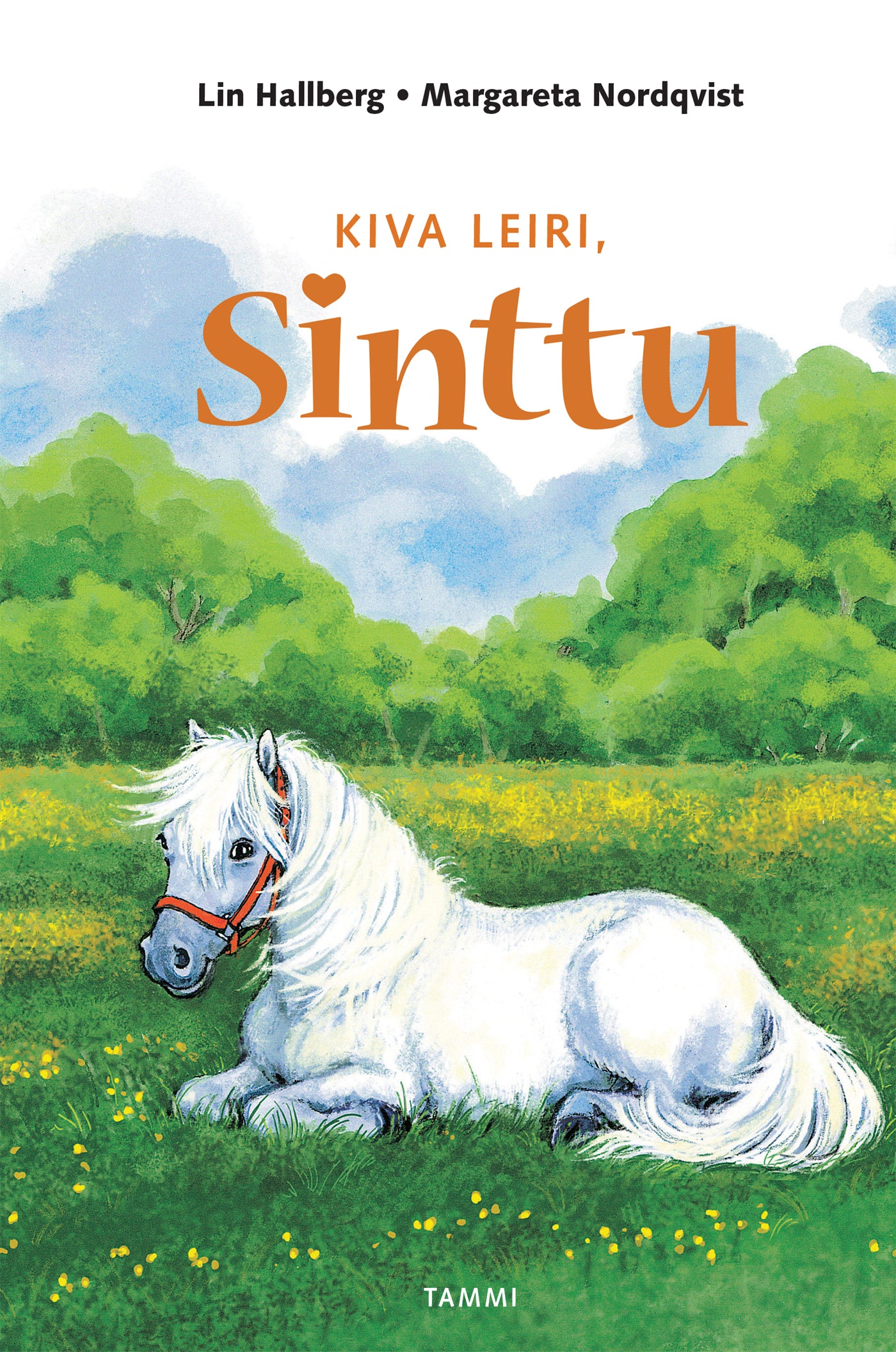 Kiva leiri, Sinttu – E-bok