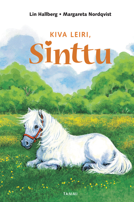 Kiva leiri, Sinttu – E-bok