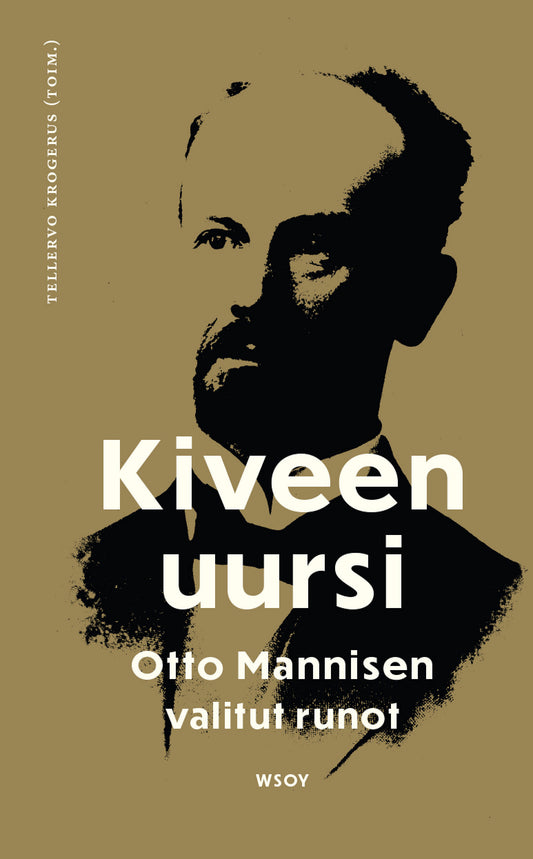 Kiveen uursi – E-bok