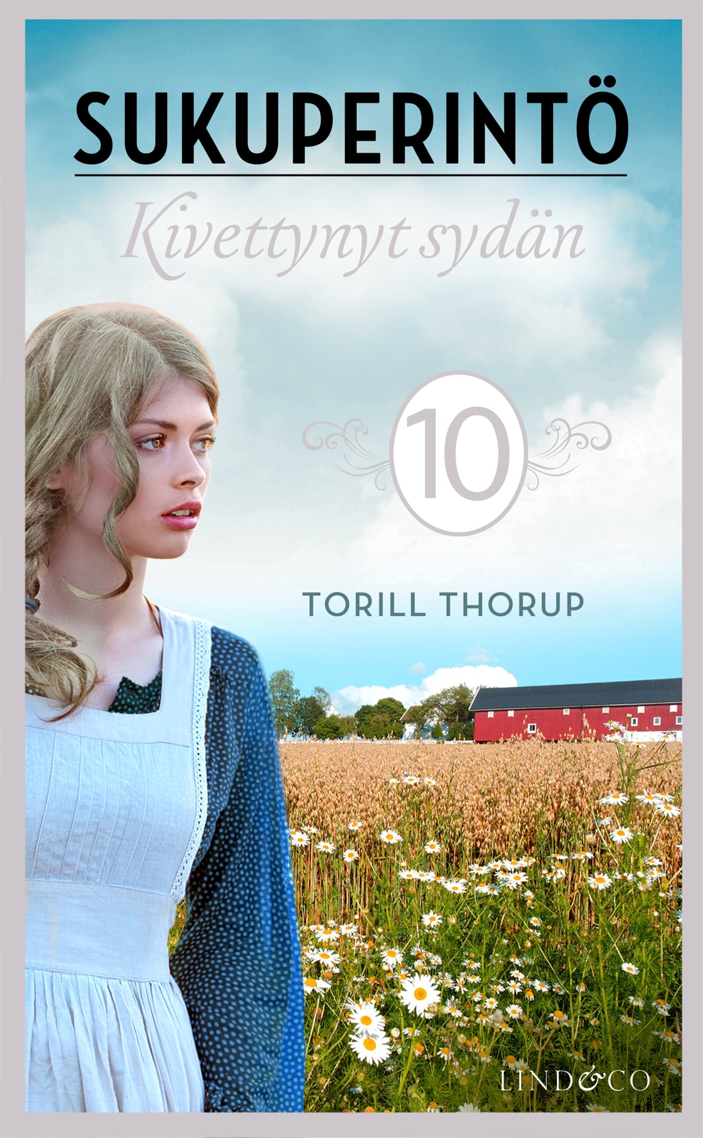 Kivettynyt sydän – E-bok