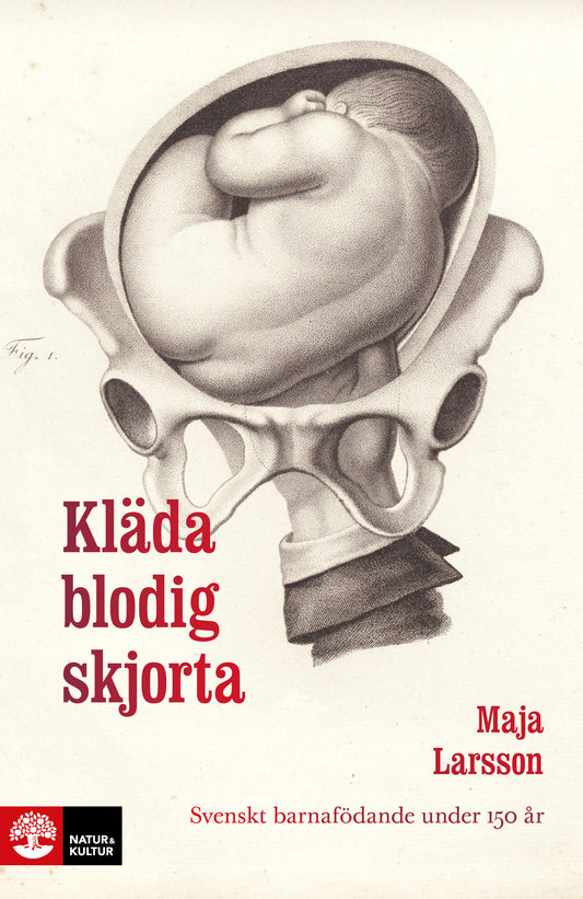 Kläda blodig skjorta : svenskt barnafödande under 150 år – E-bok