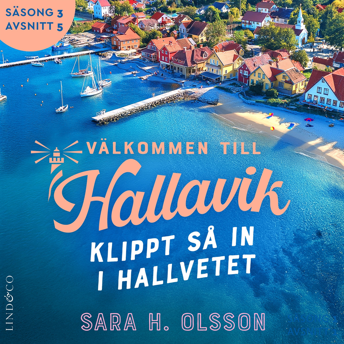 Klippt så in i Hallvetet (S3E5 Välkommen till Hallavik) – Ljudbok