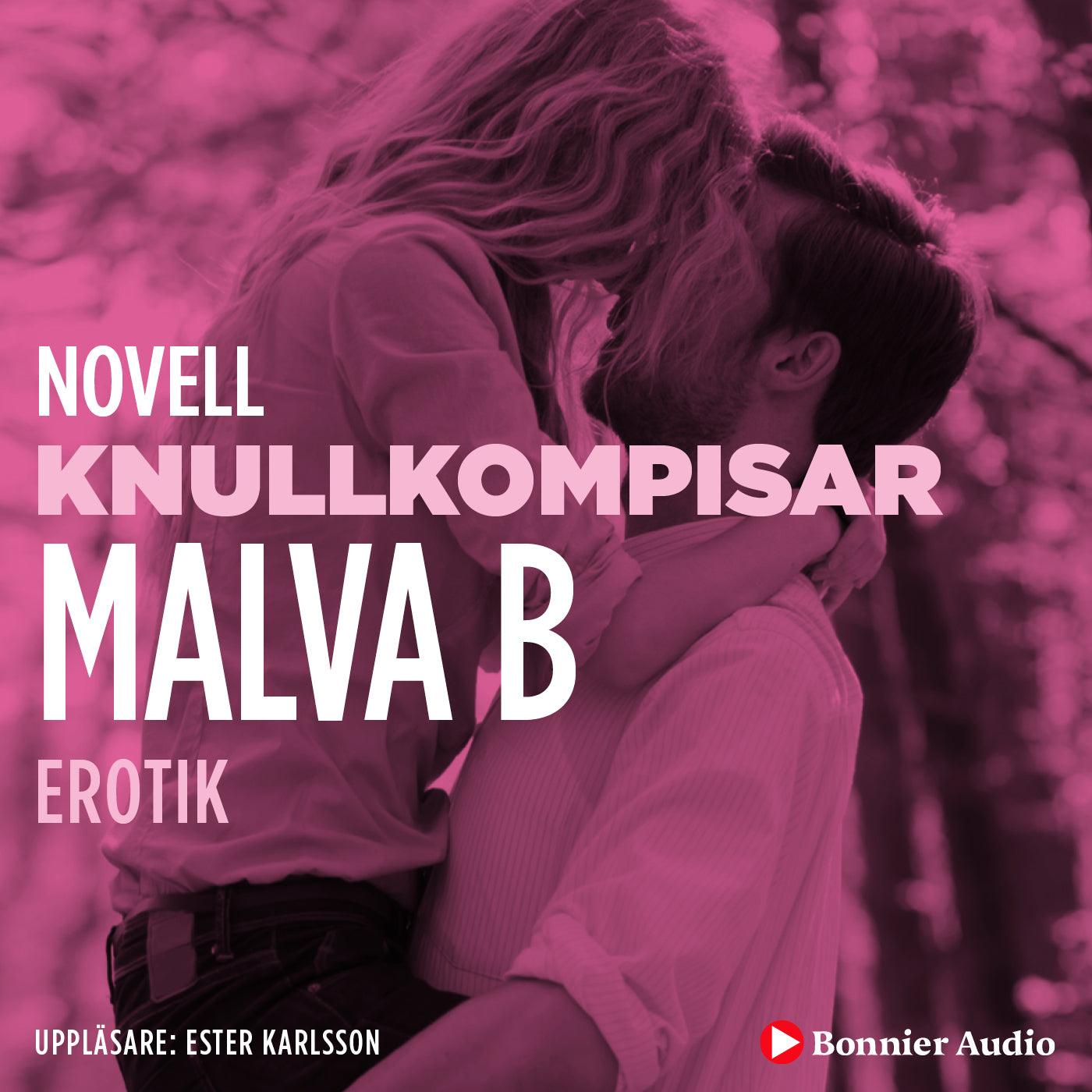 Knullkompisar : en novell ur Begär – Ljudbok