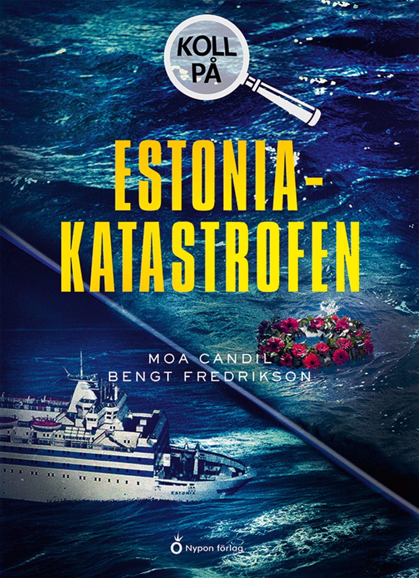 Koll på Estoniakatastrofen – E-bok