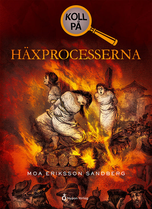 Koll på häxprocesserna – E-bok