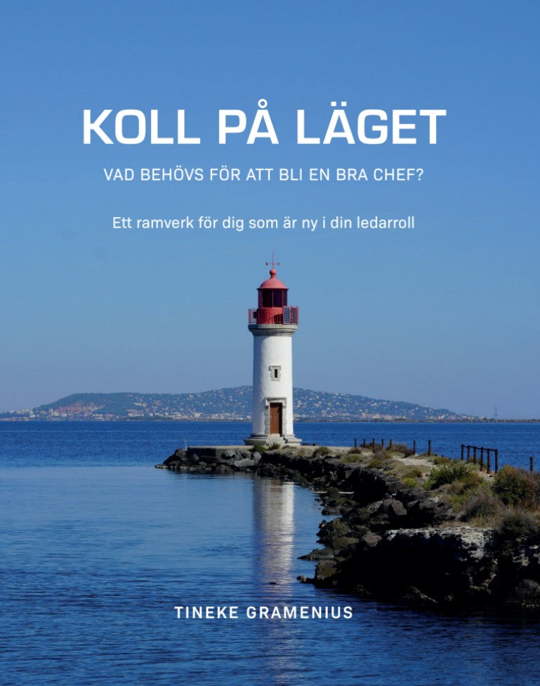Koll på läget : vad behövs för att bli en bra chef? – E-bok