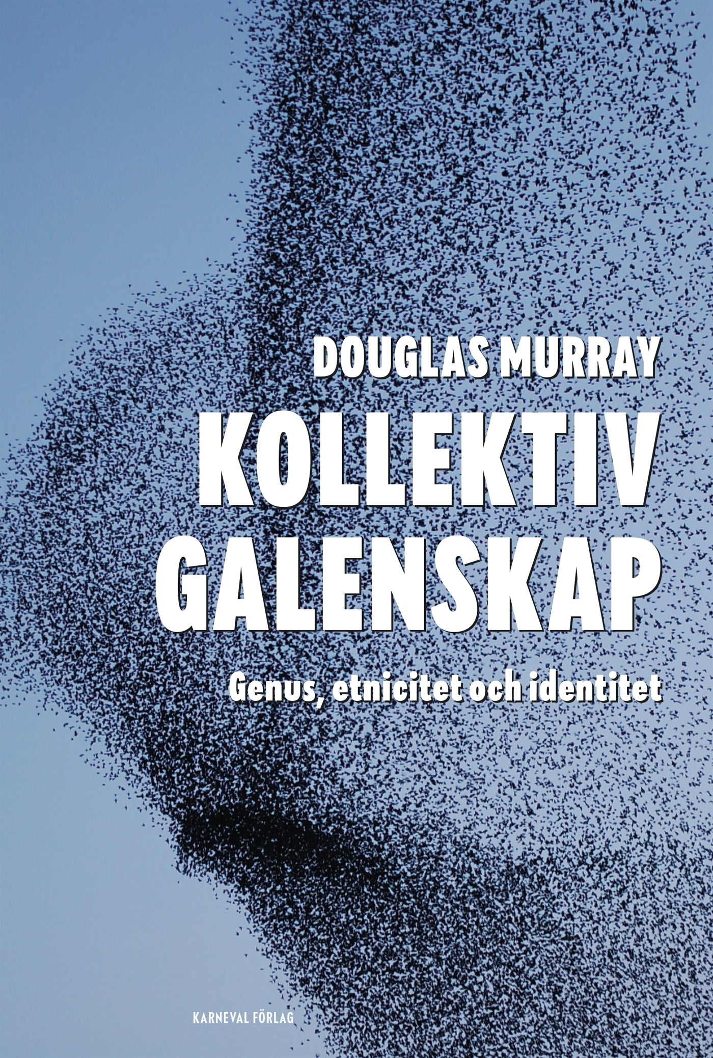 Kollektiv galenskap : Genus, etnicitet och identitet – E-bok