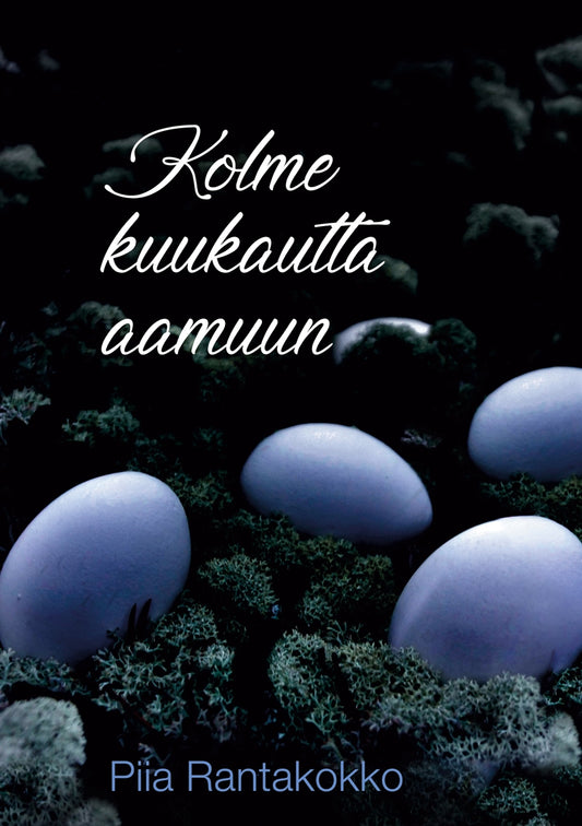 Kolme kuukautta aamuun – E-bok