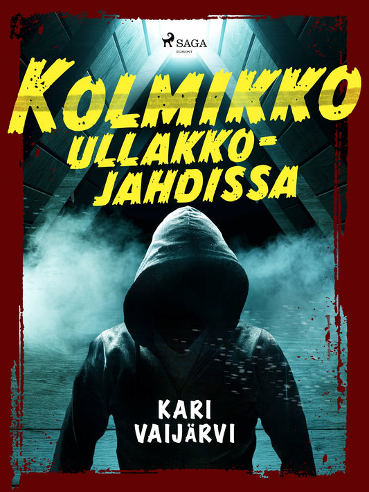 Kolmikko ullakkojahdissa – E-bok